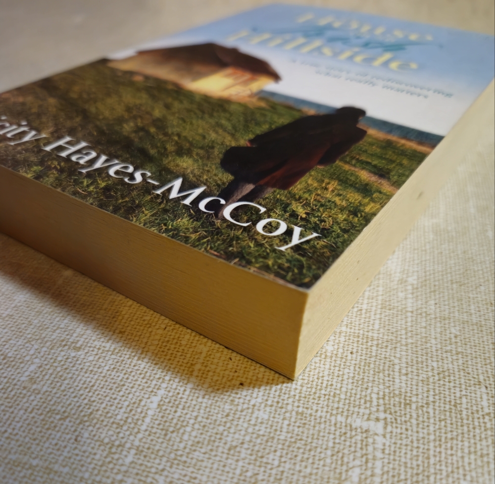 Books The House on an Irish Hillside Felicity Hayes-McCoy Paperback - Picture 4 of 5